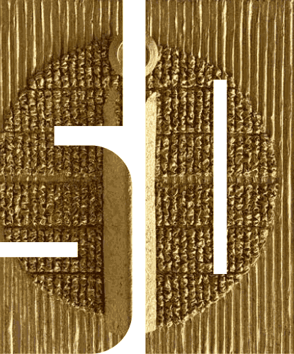 50 Jahre Museum Langenargen